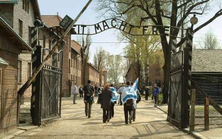 Depuis Cracovie : Visite du Mémorial et du Musée d'Auschwitz-Birkenau