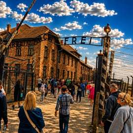 Cracovie : Visite guidée d'Auschwitz-Birkenau avec transport