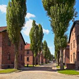 Cracovie : Visite guidée d'Auschwitz avec déjeuner facultatif et prise en charge