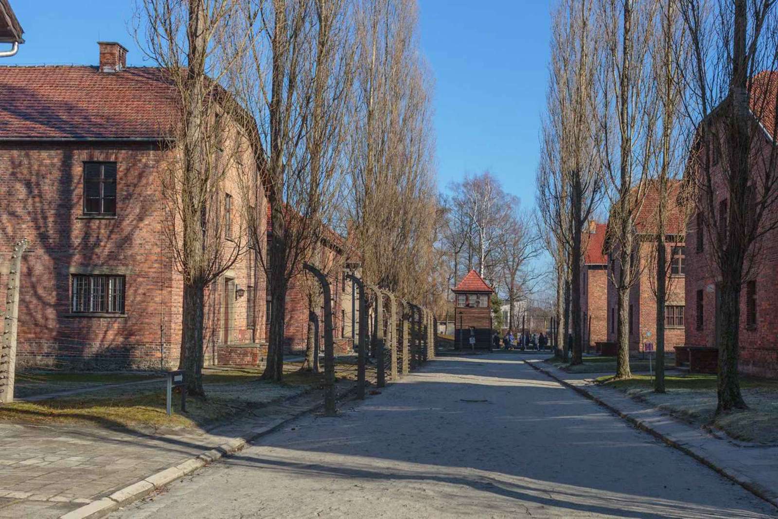 Cracovie : billet d'entrée à Auschwitz-Birkenau et transfert