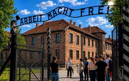 Cracovie : Visite guidée d'Auschwitz-Birkenau avec transport