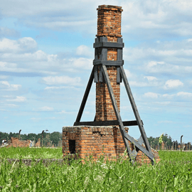 Cracovie : Visite d'Auschwitz-Birkenau limitée à 15 visiteurs