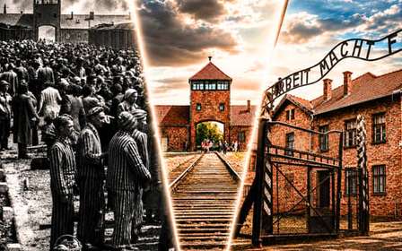 Depuis Cracovie : Visite d'Auschwitz-Birkenau avec transport