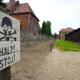 Cracovie : Excursion d'une journée à Auschwitz-Birkenau avec personnel accompagnant