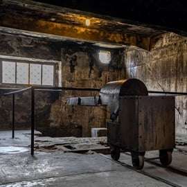 Depuis Cracovie : excursion d'une journée à Auschwitz-Birkenau