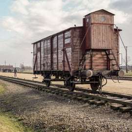 Visite guidée d'Auschwitz-Birkenau et transfert depuis Cracovie