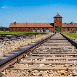 Depuis Cracovie : Visite d'Auschwitz-Birkenau avec transport