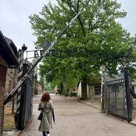 Depuis Cracovie : visite d'Auschwitz-Birkenau