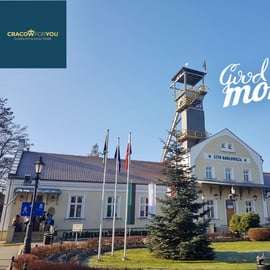Depuis Cracovie : Visite guidée de la mine de sel de Wieliczka (prise en charge à l'hôtel)