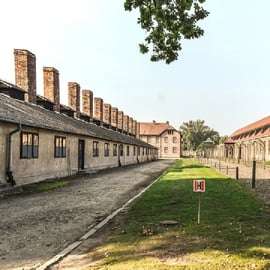 Au départ de Cracovie : Visite guidée d'Auschwitz Birkenau et de la mine de sel