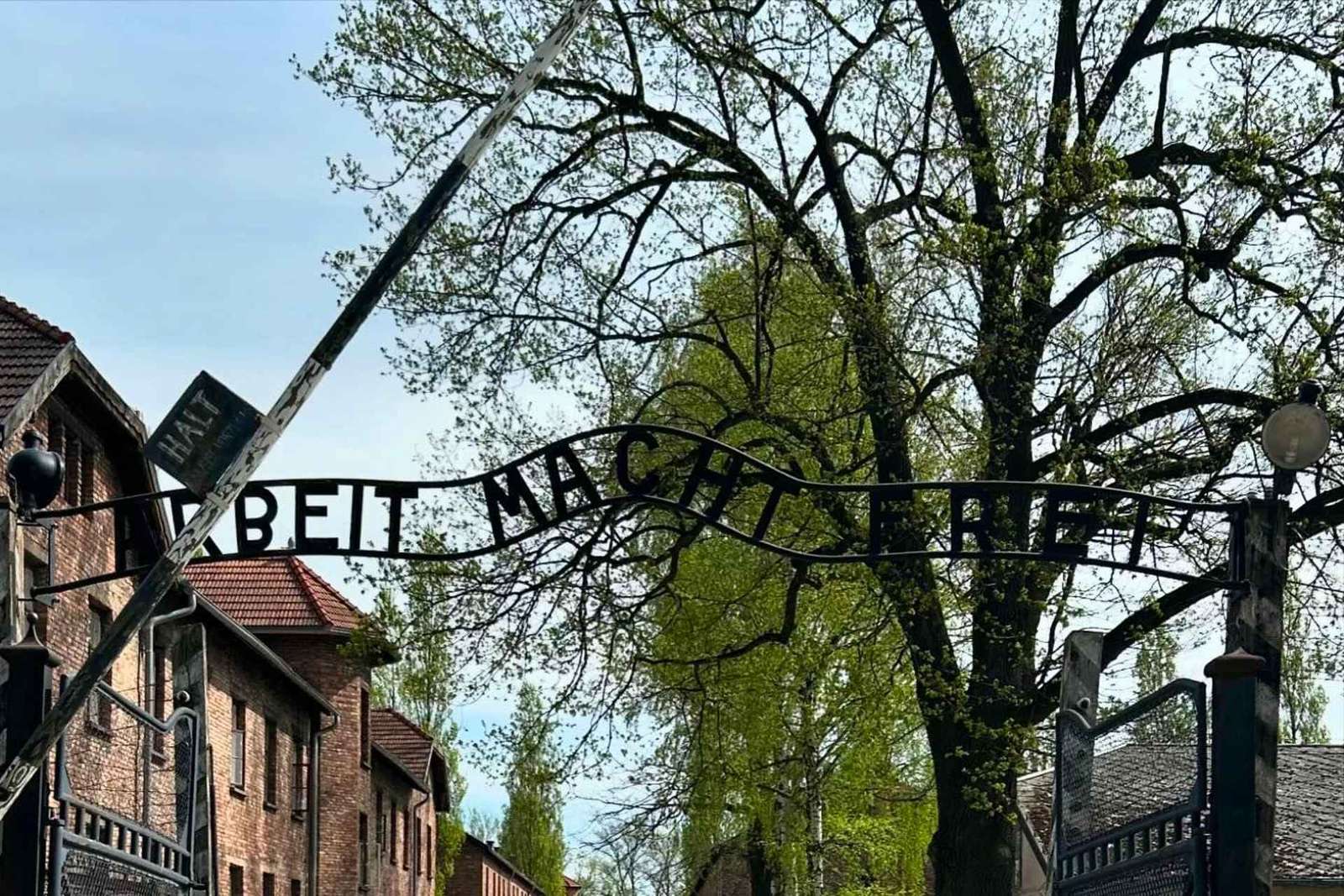 Au départ de Cracovie : Visite d'Auschwitz-Birkenau et de la mine de sel de Wieliczka