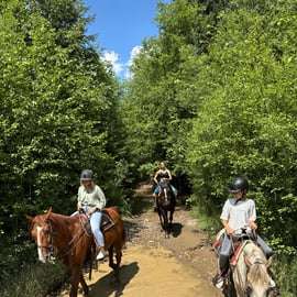 Cracovie : excursion d'une journée à Zakopane avec balade à cheval et bains thermaux