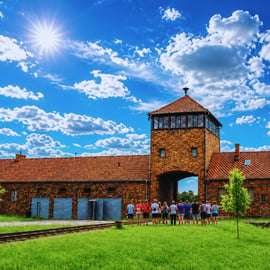 Cracovie : Visite guidée d'Auschwitz-Birkenau avec transport