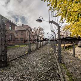 Cracovie : Auschwitz-Birkenau et mine de sel : visite guidée d'une jounée