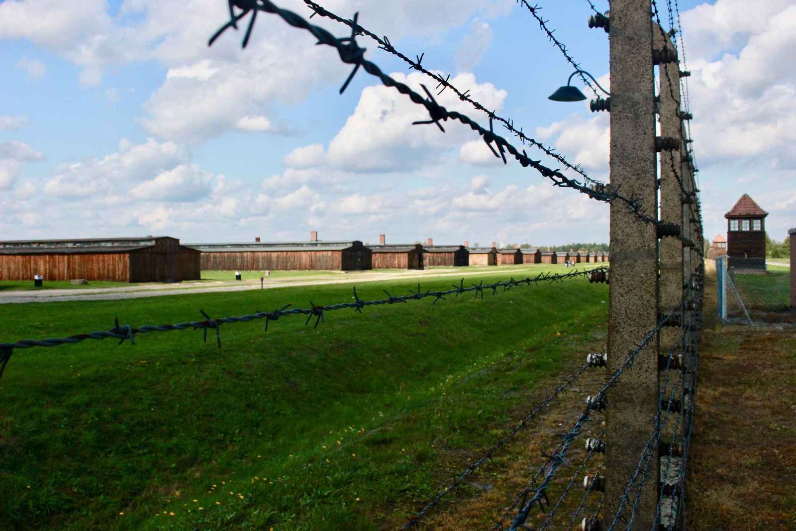 Auschwitz-Birkenau : Visite guidée - Billet + Transport