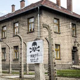 Cracovie : Visite guidée d'Auschwitz-Birkenau et de la mine de sel