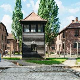Depuis Cracovie : Visite guidée d'Auschwitz-Birkenau et options de prise en charge