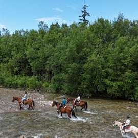 Cracovie : excursion d'une journée à Zakopane avec balade à cheval et bains thermaux