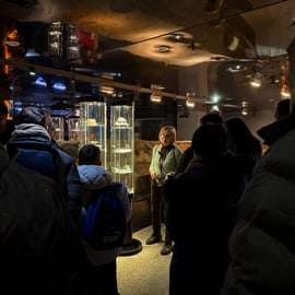 Cracovie : Visite guidée du musée souterrain Rynek