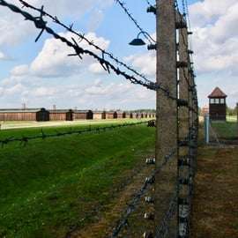 Auschwitz-Birkenau : Visite guidée - Billet + Transport