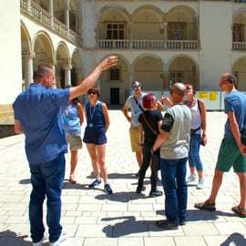 Cracovie : Château et cathédrale de Wawel avec guide