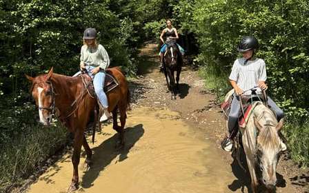 Cracovie : excursion d'une journée à Zakopane avec balade à cheval et bains thermaux