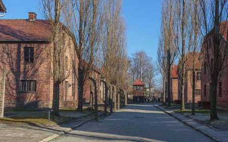 Cracovie : billet d'entrée à Auschwitz-Birkenau et transfert