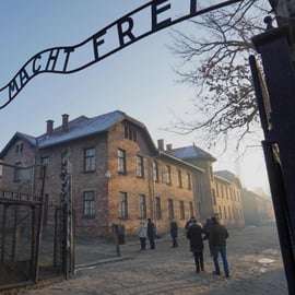 Depuis Cracovie : Visite privée du Mémorial d'Auschwitz-Birkenau