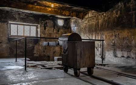Depuis Cracovie : excursion d'une journée à Auschwitz-Birkenau