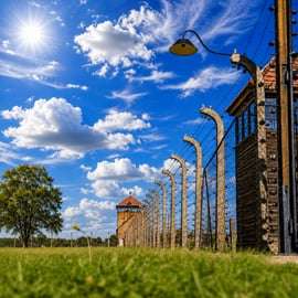 Depuis Cracovie : Excursion d'une journée à Auschwitz-Birkenau avec transport