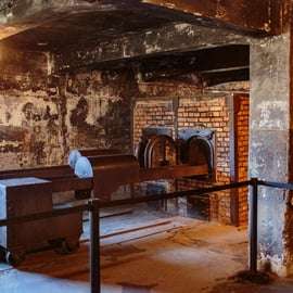 Cracovie : billet d'entrée à Auschwitz-Birkenau et transfert
