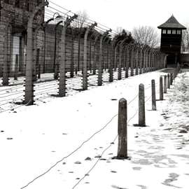 Cracovie : chauffeur privé pour Auschwitz-Birkenau