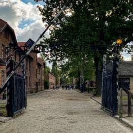 Depuis Cracovie : Visite du Mémorial et du Musée d'Auschwitz-Birkenau