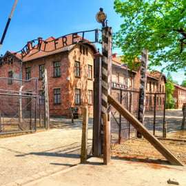 Cracovie : Visite guidée d'Auschwitz avec déjeuner facultatif et prise en charge