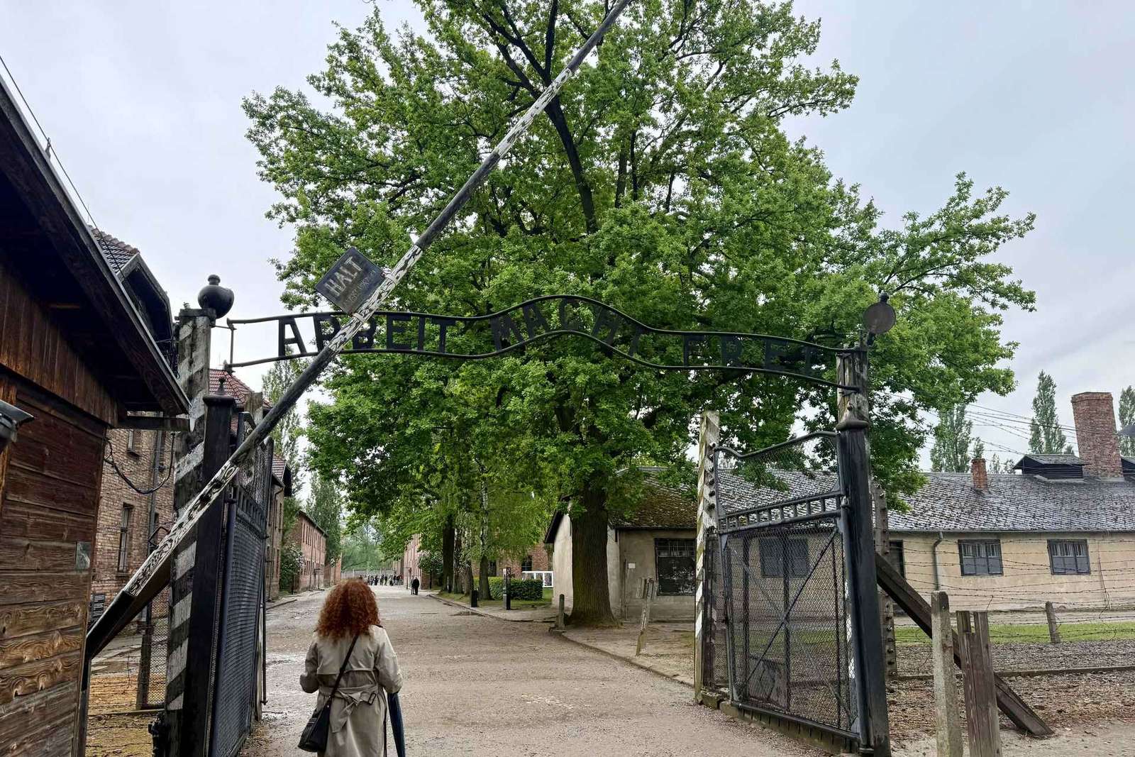 Depuis Cracovie : visite d'Auschwitz-Birkenau