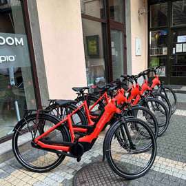 Visite en petit groupe de 3 heures sur Bosch E-Bike - Nouveaux vélos !
