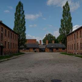 Cracovie : visite guidée du mémorial d'Auschwitz avec prise en charge
