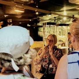 Cracovie : Visite guidée du métro Rynek
