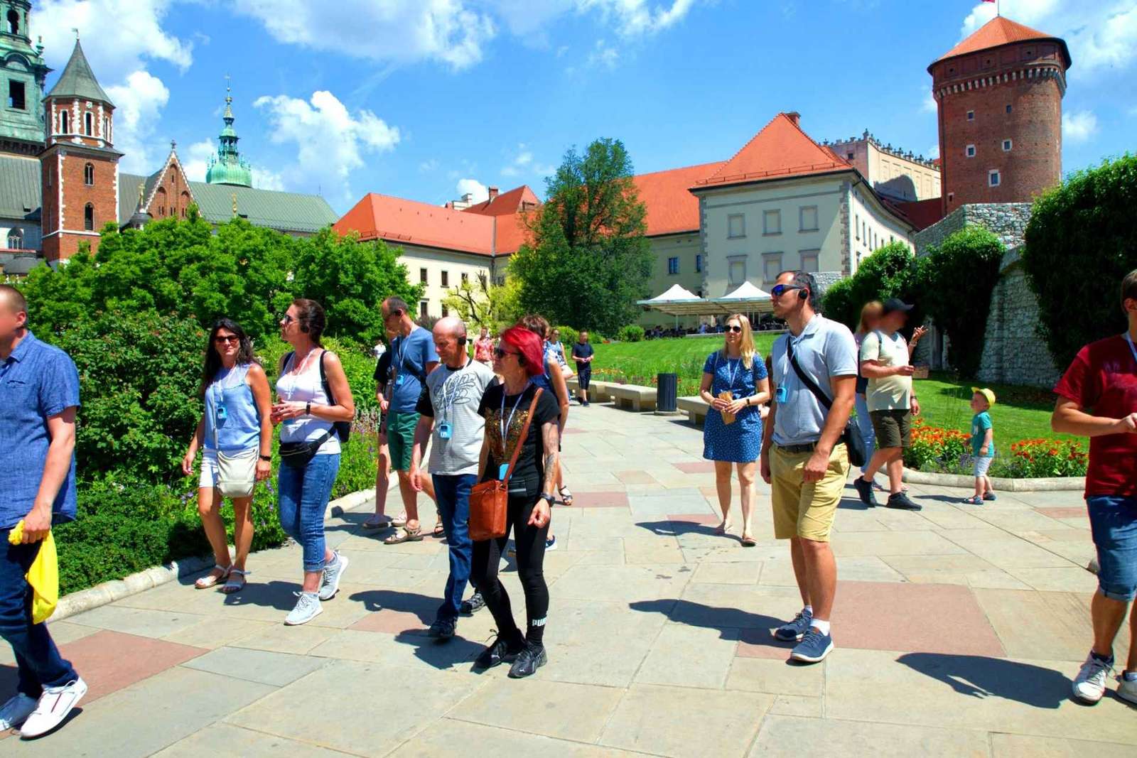Cracovie : Visite guidée du château de Wawel avec billets d'entrée