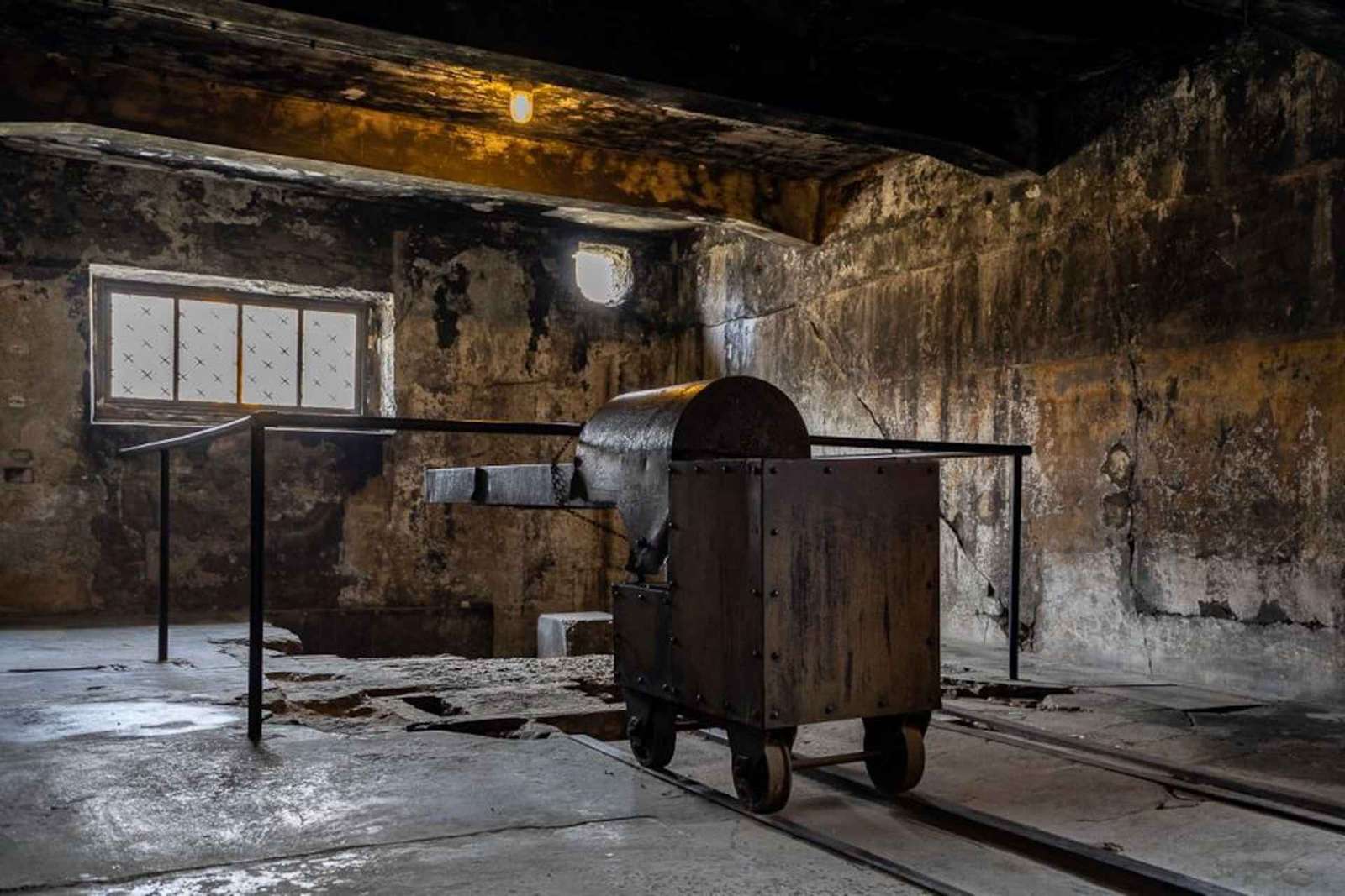 Depuis Cracovie : excursion d'une journée à Auschwitz-Birkenau