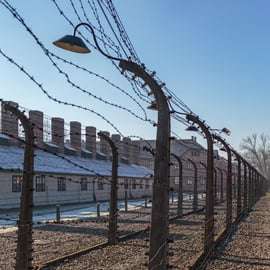 Cracovie : billet d'entrée à Auschwitz-Birkenau et transfert