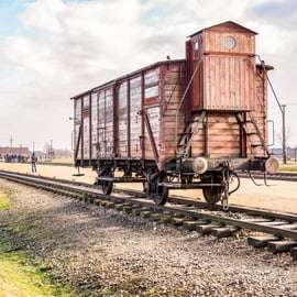 Cracovie : Visite d'Auschwitz-Birkenau et de la mine de sel en jounée guidée