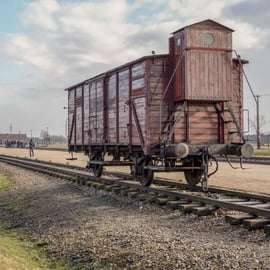 Au départ de Cracovie : Auschwitz-Birkenau : visite d'une journée guidée