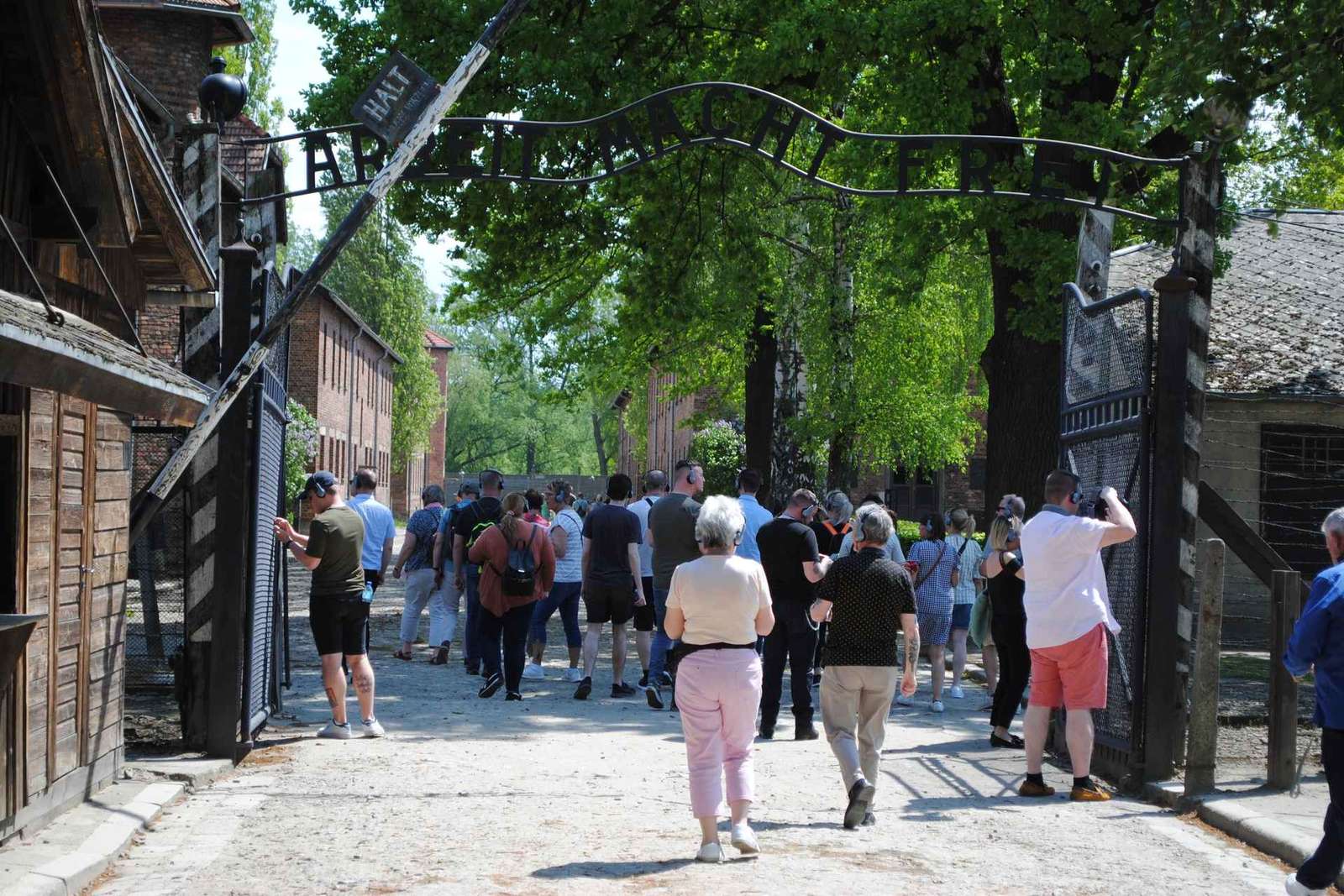 Depuis Cracovie : Visite guidée d'Auschwitz-Birkenau et prise en charge