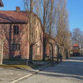 Cracovie : billet d'entrée à Auschwitz-Birkenau et transfert