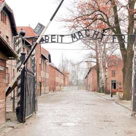 Cracovie : Visite guidée d'Auschwitz-Birkenau et de la mine de sel