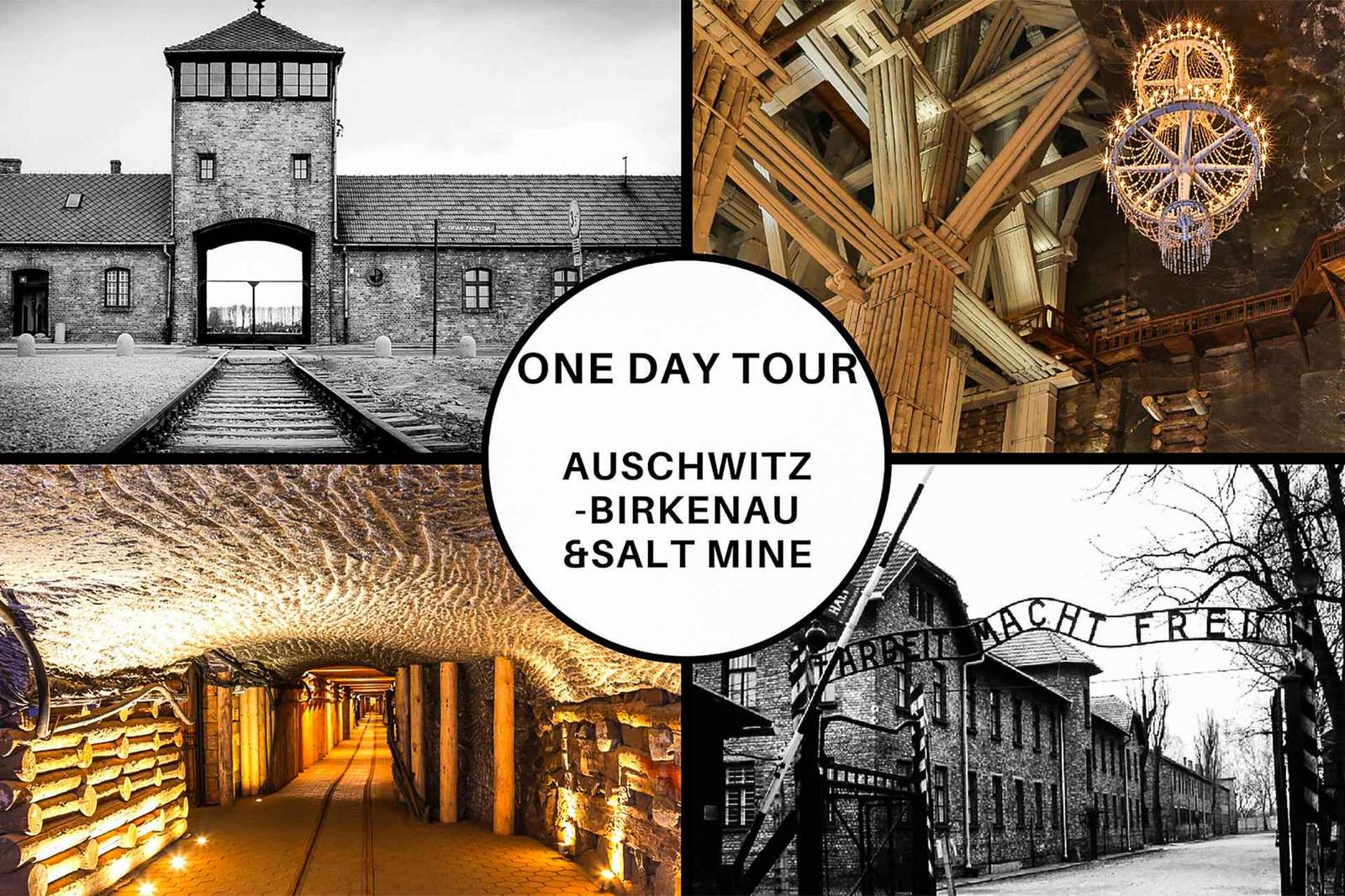 Cracovie : Visite d'Auschwitz-Birkenau et de la mine de sel en jounée guidée