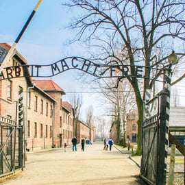 Cracovie : Visite d'Auschwitz-Birkenau et de la mine de sel en jounée guidée
