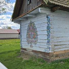 Depuis Cracovie : Visite du village de Zalipie