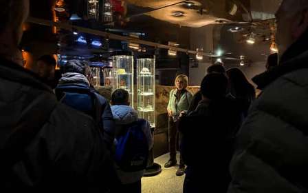 Cracovie : Visite guidée du musée souterrain Rynek